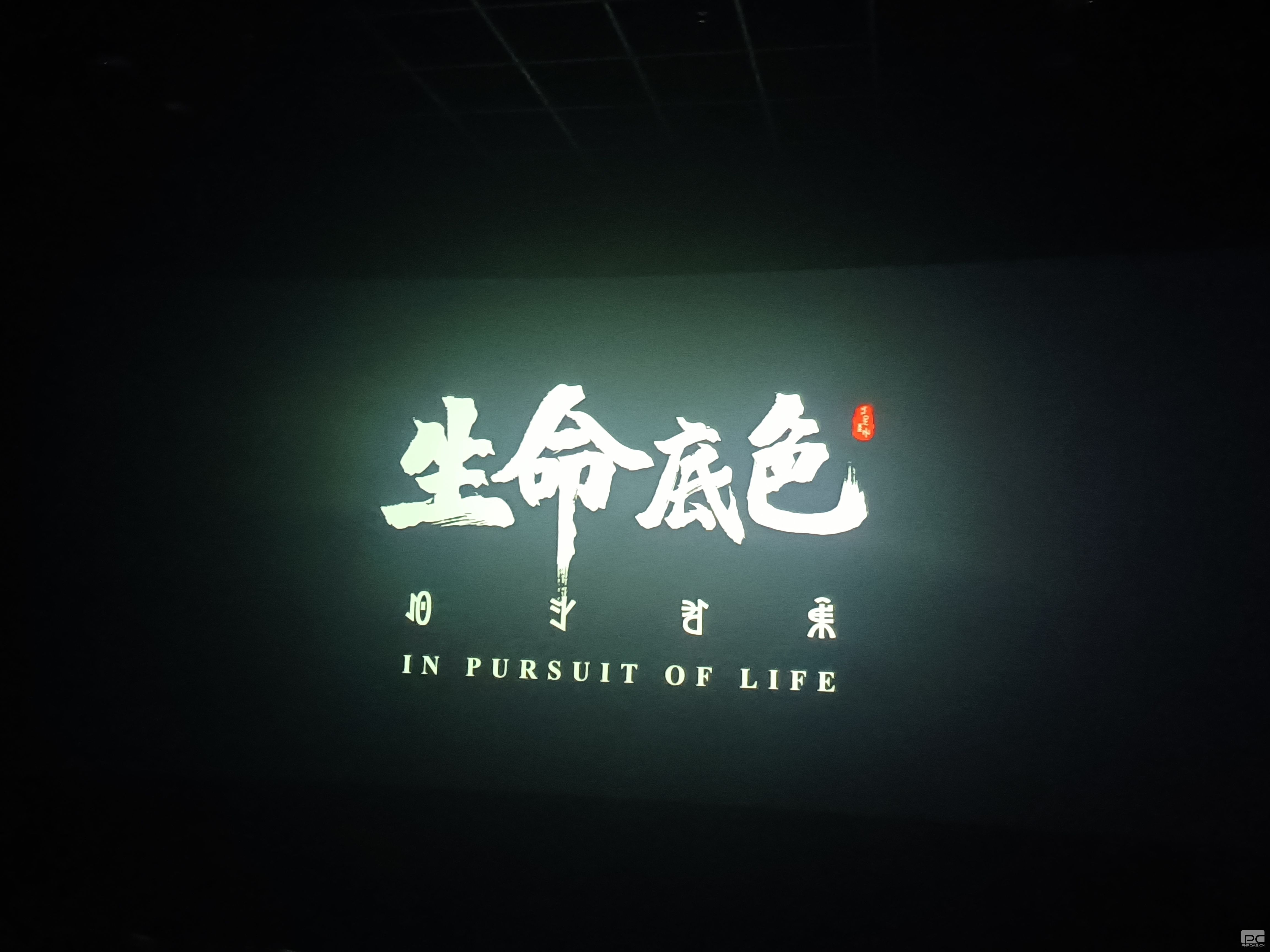 pgģ齫2024-pgģ齫ģ
