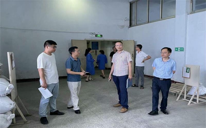 省pg麻将胡了免费模拟器投资集团清静检查第四督导小组到泰华堂制药举行清静生产检查